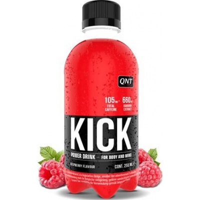  QNT KICK 250 