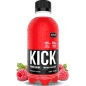  QNT KICK 250 